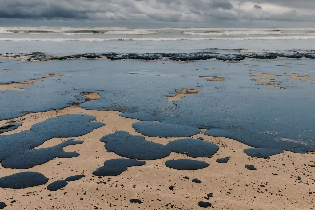 Meere und Küstenregionen