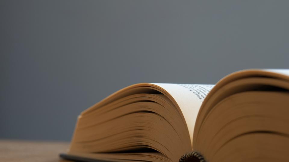 Die perse Bedeutung: Definition, Verwendung und Herkunft einfach erklärt